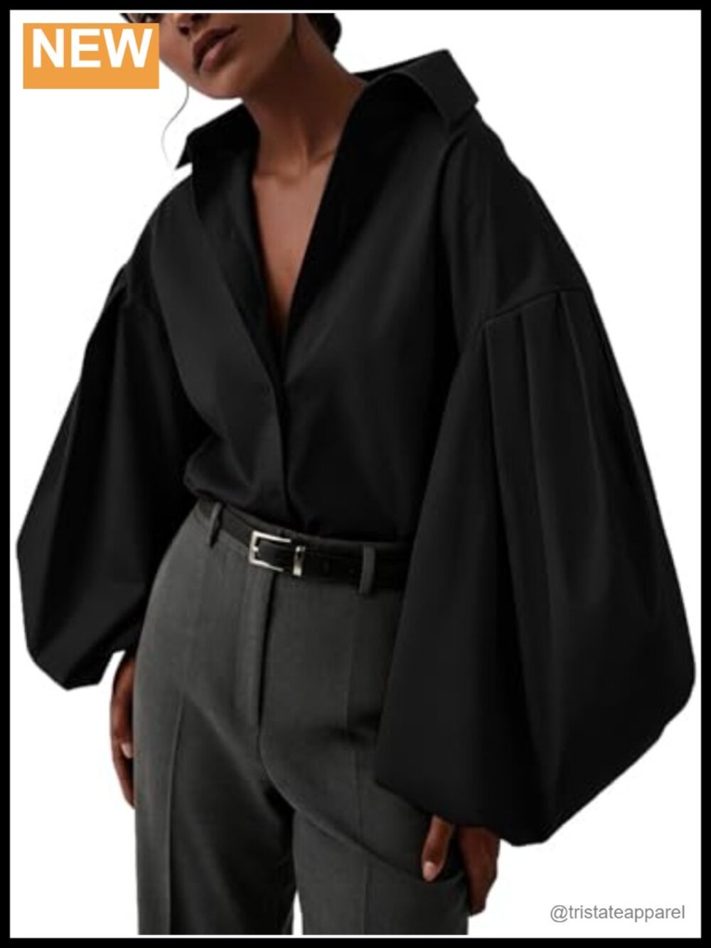 Lapel Collar Lantern Sleeve Blouse Button Down Shirt Women's Top